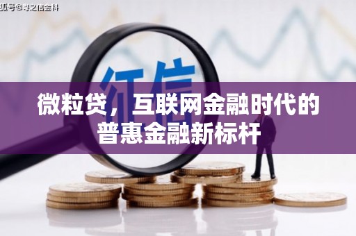 太平微粒贷，互联网金融时代的普惠金融新标杆
