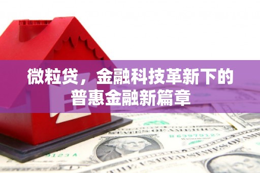 太平微粒贷，金融科技革新下的普惠金融新篇章
