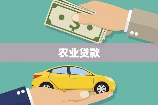 太平农业贷款