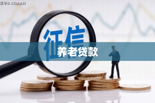 太平养老贷款