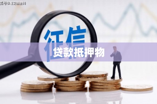 太平贷款抵押物