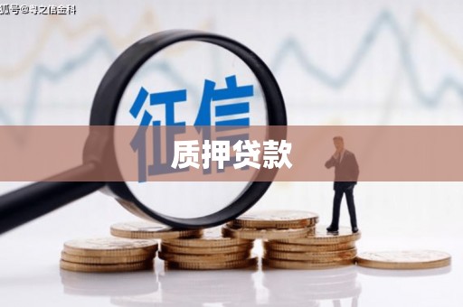太平质押贷款