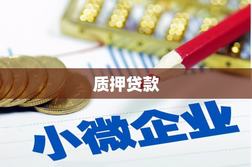 太平质押贷款