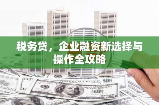 太平税务贷，企业融资新选择与操作全攻略