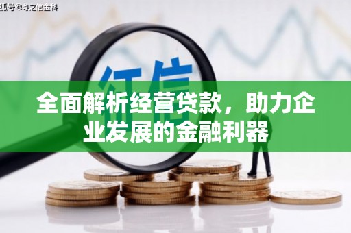 太平全面解析经营贷款，助力企业发展的金融利器