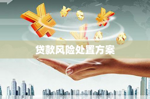 太平贷款风险处置方案