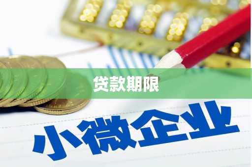 太平贷款期限