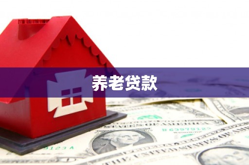 太平养老贷款