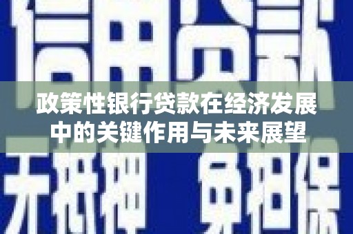 太平政策性银行贷款在经济发展中的关键作用与未来展望