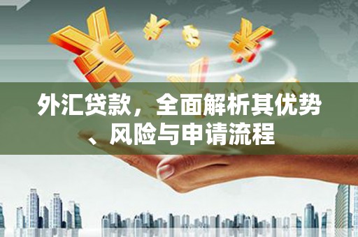 太平外汇贷款，全面解析其优势、风险与申请流程