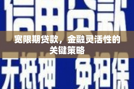 太平宽限期贷款，金融灵活性的关键策略