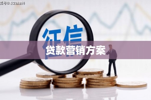 太平贷款营销方案