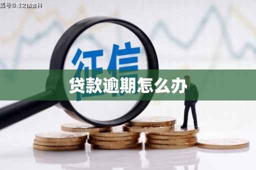 太平贷款逾期怎么办