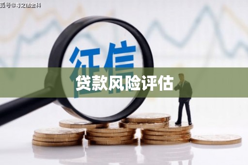 太平贷款风险评估