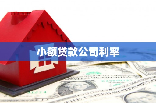 太平小额贷款公司利率