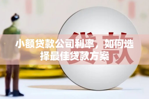 太平小额贷款公司利率，如何选择最佳贷款方案