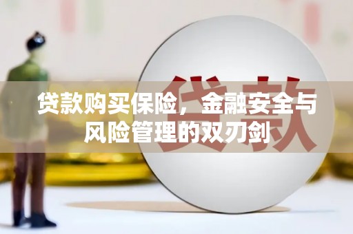 太平贷款购买保险，金融安全与风险管理的双刃剑
