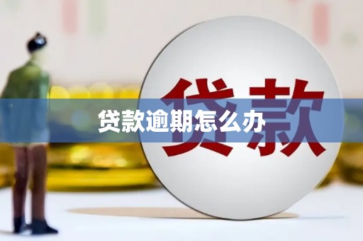 太平贷款逾期怎么办