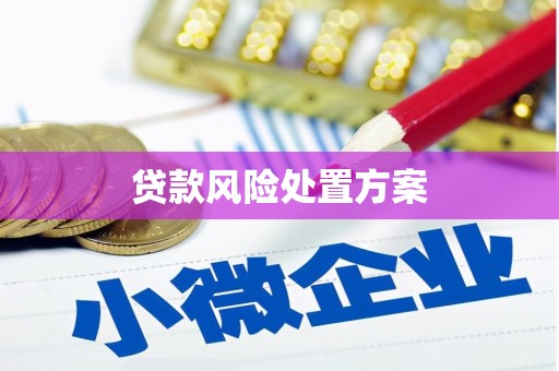 太平贷款风险处置方案