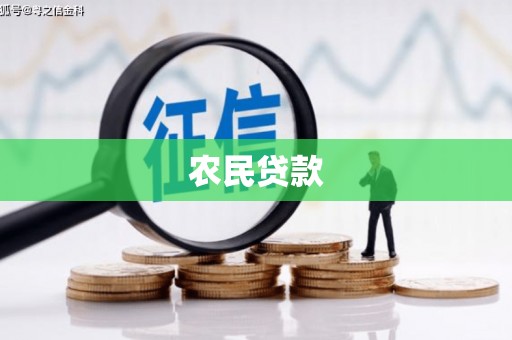 太平农民贷款