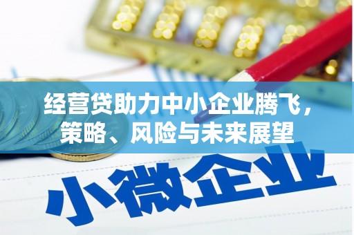 太平经营贷助力中小企业腾飞，策略、风险与未来展望