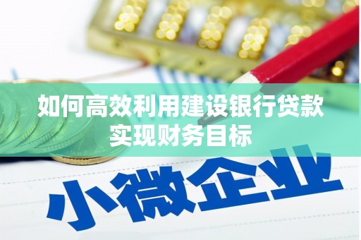 太平如何高效利用建设银行贷款实现财务目标
