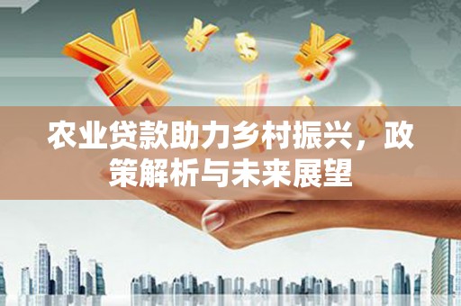 太平农业贷款助力乡村振兴，政策解析与未来展望