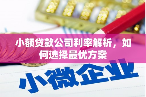 太平小额贷款公司利率解析，如何选择最优方案