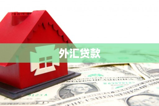 太平外汇贷款
