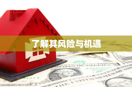 太平了解其风险与机遇