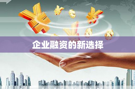 太平企业融资的新选择
