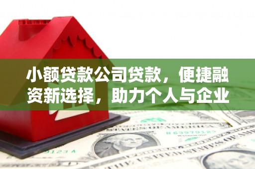 太平小额贷款公司贷款，便捷融资新选择，助力个人与企业成长