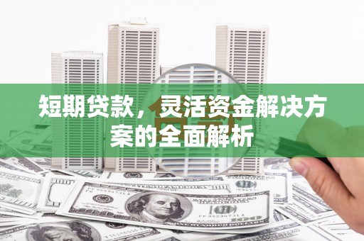 太平短期贷款，灵活资金解决方案的全面解析