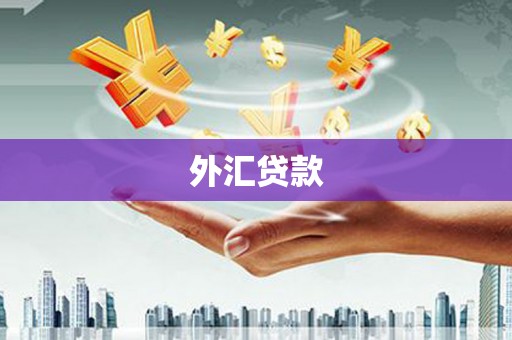 太平外汇贷款