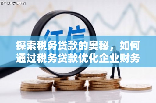 太平探索税务贷款的奥秘，如何通过税务贷款优化企业财务