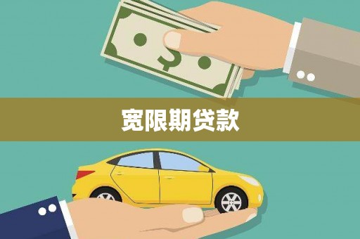 太平宽限期贷款