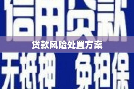 太平贷款风险处置方案