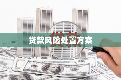 太平贷款风险处置方案