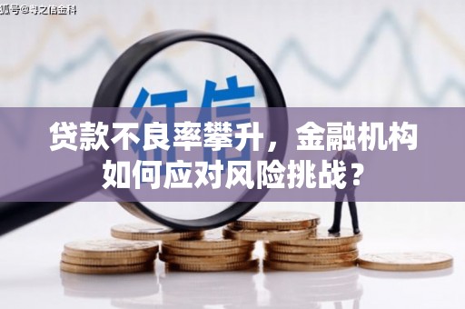 太平贷款不良率攀升，金融机构如何应对风险挑战？