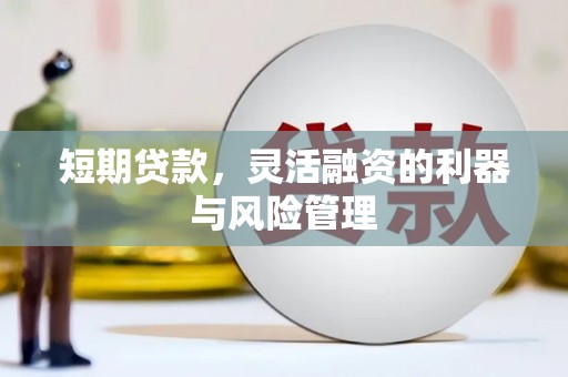 太平短期贷款，灵活融资的利器与风险管理