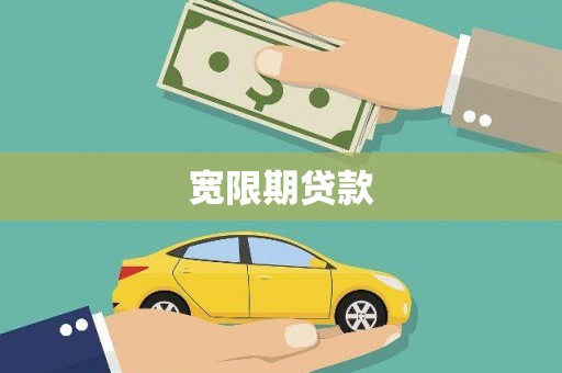 太平宽限期贷款