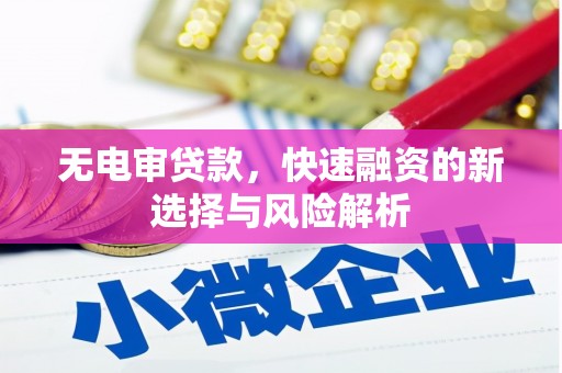 太平无电审贷款，快速融资的新选择与风险解析