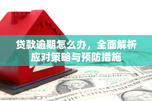 太平贷款逾期怎么办，全面解析应对策略与预防措施