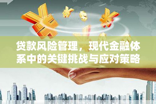 太平贷款风险管理，现代金融体系中的关键挑战与应对策略