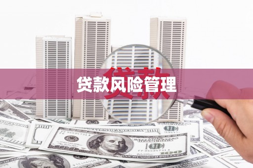 太平贷款风险管理