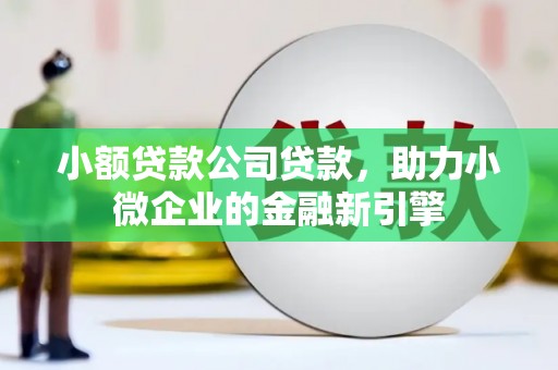 太平小额贷款公司贷款，助力小微企业的金融新引擎