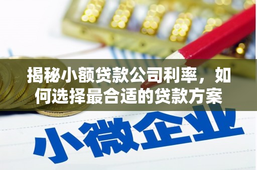 太平揭秘小额贷款公司利率，如何选择最合适的贷款方案