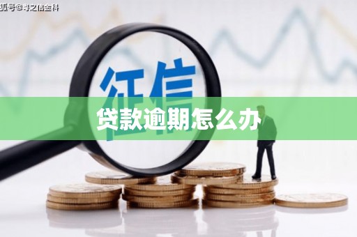 太平贷款逾期怎么办