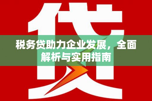 太平税务贷助力企业发展，全面解析与实用指南