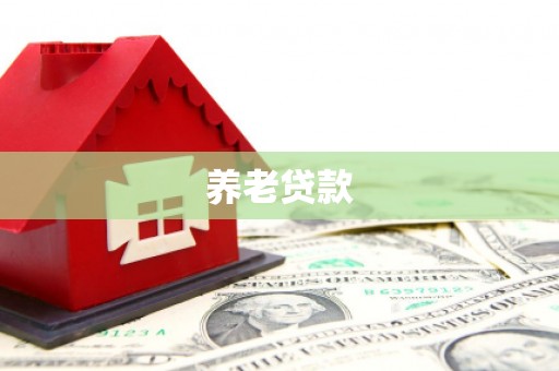太平养老贷款